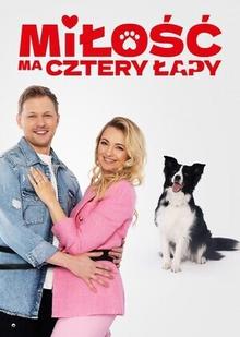 У любви четыре лапы