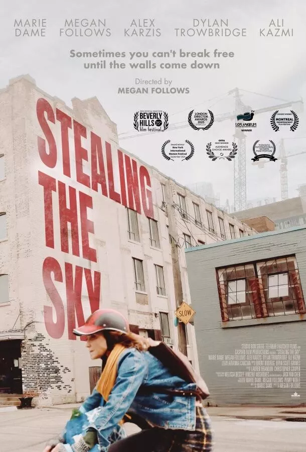 Крадущие небо / Stealing the Sky